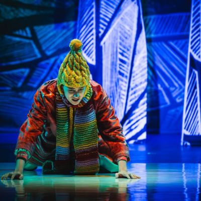 2025 11 28 liska s duhovymi ocami