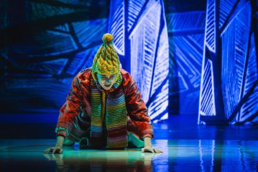 2025 11 28 liska s duhovymi ocami