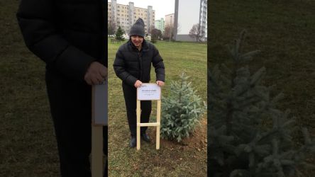 divadelny strom po premiere